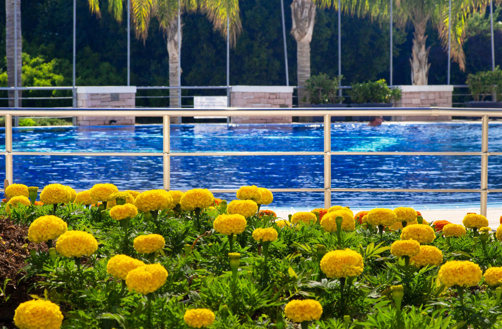 Ionian Theoxenia Hotel Preveza 045